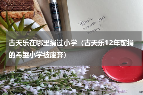 古天乐在哪里捐过小学（古天乐12年前捐的希望小学被废弃）