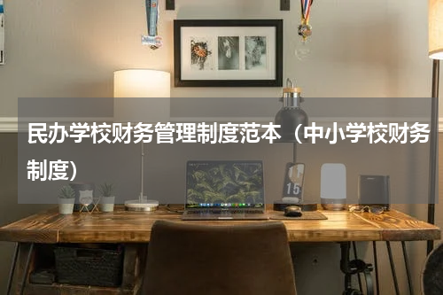民办学校财务管理制度范本（中小学校财务制度）
