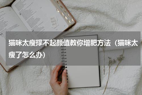 猫咪太瘦撑不起颜值教你增肥方法（猫咪太瘦了怎么办）