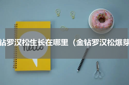 金钻罗汉松生长在哪里（金钻罗汉松爆芽）
