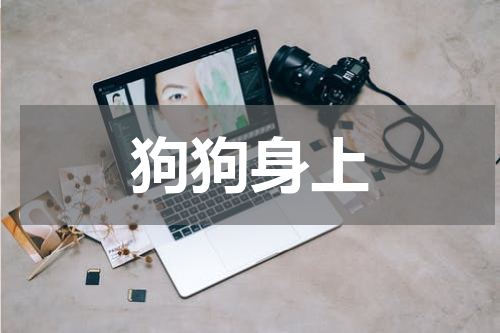 狗狗身上
