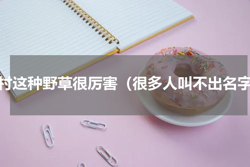 农村这种野草很厉害（很多人叫不出名字）