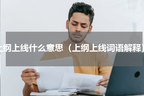 上纲上线什么意思（上纲上线词语解释）