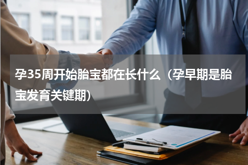 孕35周开始胎宝都在长什么（孕早期是胎宝发育关键期）