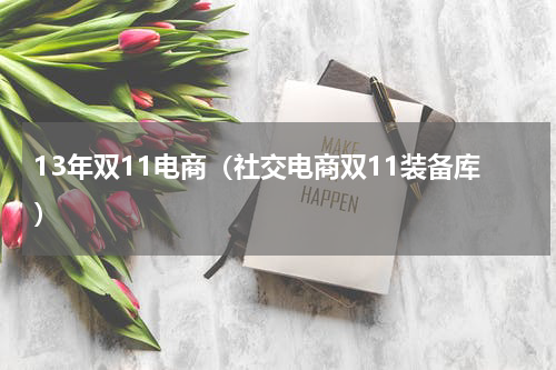 13年双11电商（社交电商双11装备库）
