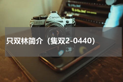 只双林简介（隻双2-0440）