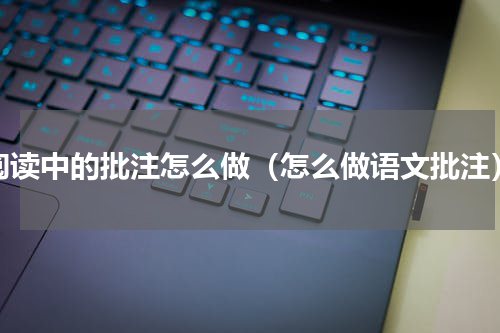 阅读中的批注怎么做（怎么做语文批注）