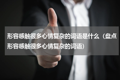 形容感触很多心情复杂的词语是什么（盘点形容感触很多心情复杂的词语）