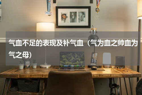 气血不足的表现及补气血（气为血之帅血为气之母）