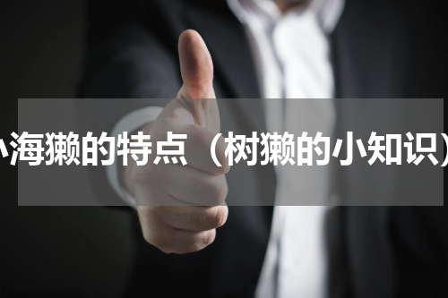 小海獭的特点（树獭的小知识）