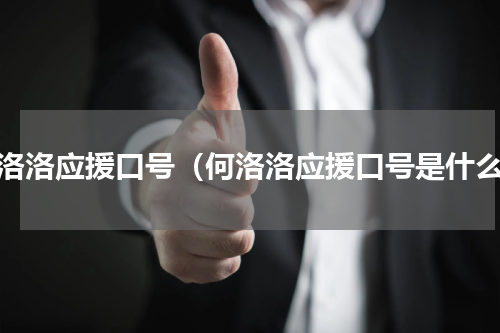 何洛洛应援口号（何洛洛应援口号是什么）