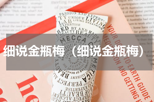 细说金瓶梅（细说金瓶梅）