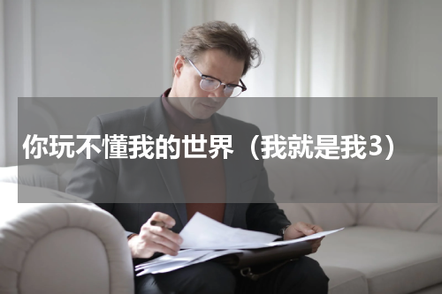 你玩不懂我的世界（我就是我3）