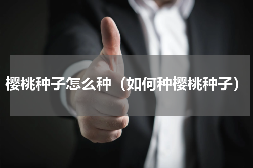 樱桃种子怎么种（如何种樱桃种子）