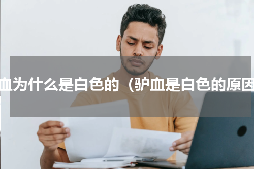 驴血为什么是白色的（驴血是白色的原因）