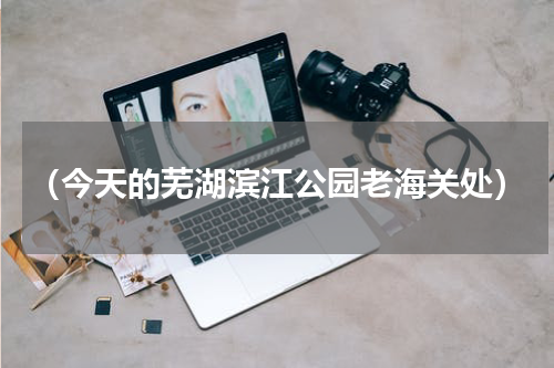 （今天的芜湖滨江公园老海关处）