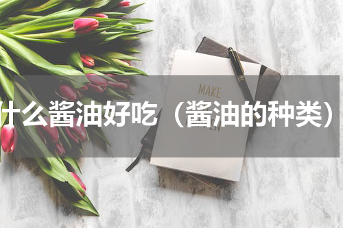 什么酱油好吃（酱油的种类）