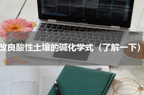 改良酸性土壤的碱化学式（了解一下）