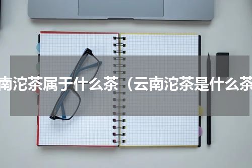 云南沱茶属于什么茶（云南沱茶是什么茶）