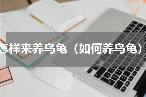 怎样来养乌龟（如何养乌龟）