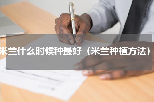 米兰什么时候种最好（米兰种植方法）