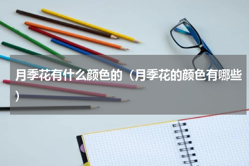 月季花有什么颜色的（月季花的颜色有哪些）