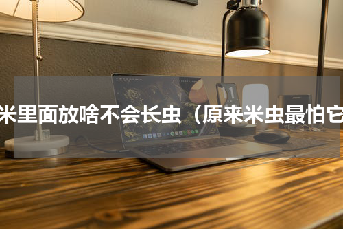 大米里面放啥不会长虫（原来米虫最怕它）