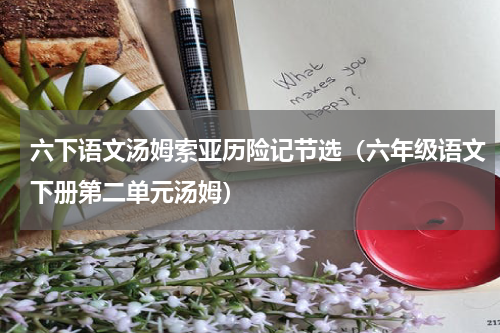 六下语文汤姆索亚历险记节选（六年级语文下册第二单元汤姆）
