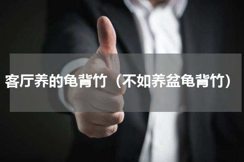 客厅养的龟背竹（不如养盆龟背竹）