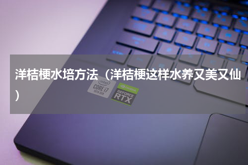 洋桔梗水培方法（洋桔梗这样水养又美又仙）