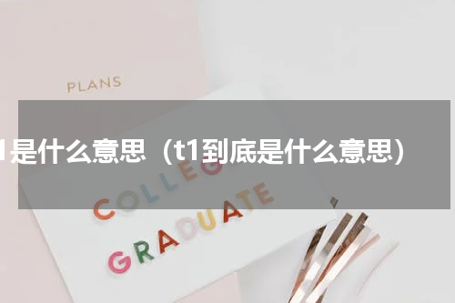 t1是什么意思（t1到底是什么意思）
