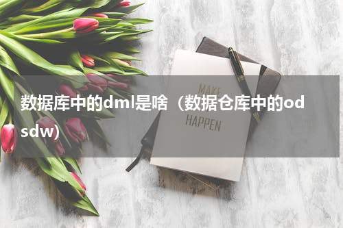 数据库中的dml是啥（数据仓库中的odsdw）
