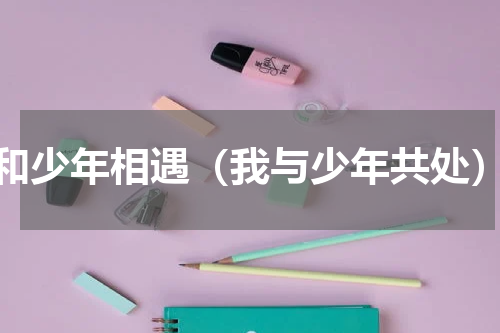 和少年相遇（我与少年共处）