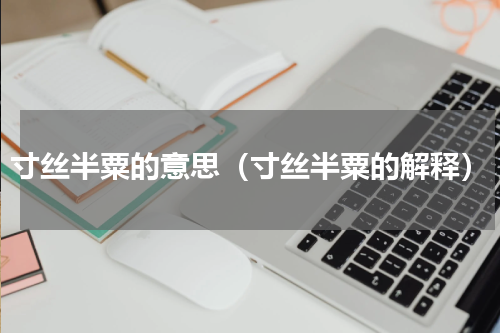 寸丝半粟的意思（寸丝半粟的解释）