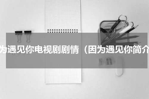 因为遇见你电视剧剧情（因为遇见你简介）