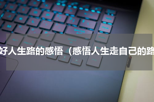 走好人生路的感悟（感悟人生走自己的路）