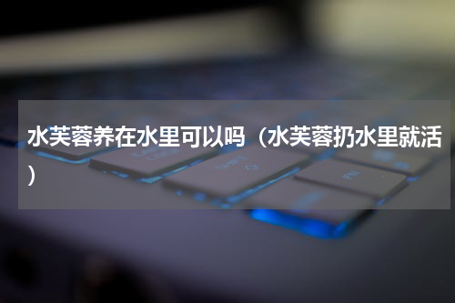 水芙蓉养在水里可以吗（水芙蓉扔水里就活）