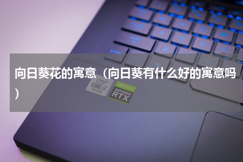 向日葵花的寓意（向日葵有什么好的寓意吗）