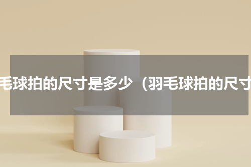 羽毛球拍的尺寸是多少（羽毛球拍的尺寸）