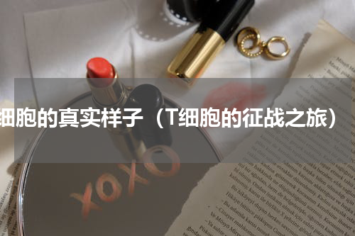 t细胞的真实样子（T细胞的征战之旅）