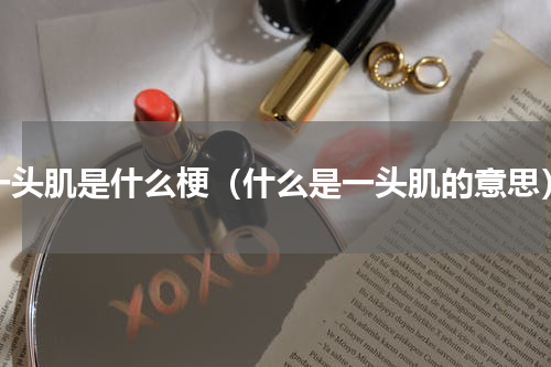 一头肌是什么梗（什么是一头肌的意思）