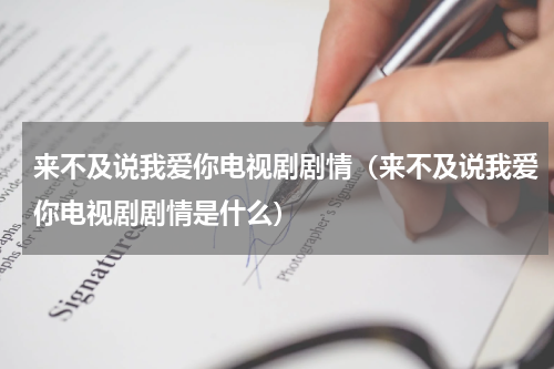 来不及说我爱你电视剧剧情（来不及说我爱你电视剧剧情是什么）