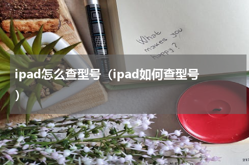ipad怎么查型号（ipad如何查型号）