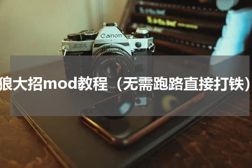 只狼大招mod教程（无需跑路直接打铁）