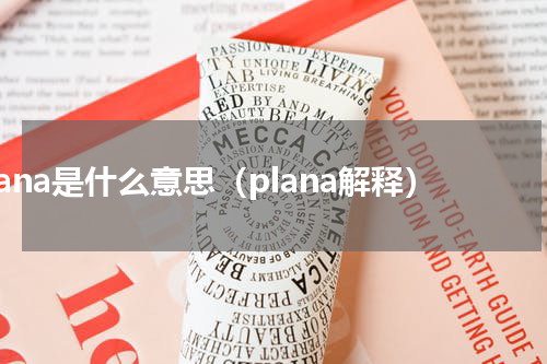 plana是什么意思（plana解释）