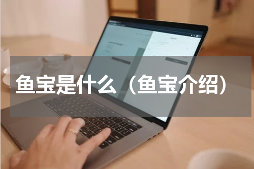鱼宝是什么（鱼宝介绍）