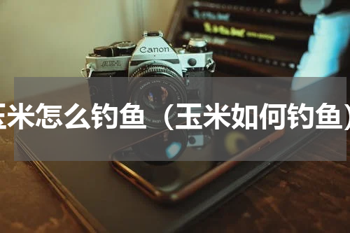 玉米怎么钓鱼（玉米如何钓鱼）