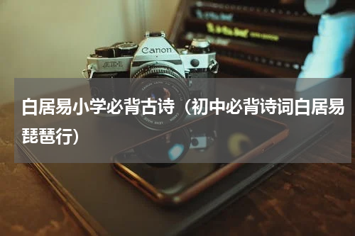 白居易小学必背古诗（初中必背诗词白居易琵琶行）