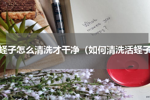 活蛏子怎么清洗才干净（如何清洗活蛏子）