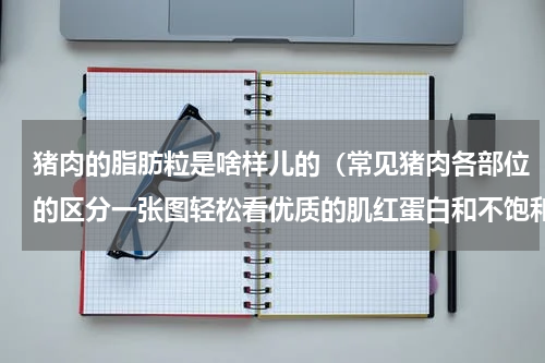 猪肉的脂肪粒是啥样儿的（常见猪肉各部位的区分一张图轻松看优质的肌红蛋白和不饱和脂肪酸）